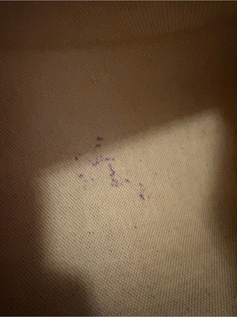 Authentic Hermès Toile Canvas Herbag - Vintage - Picture 13 of 16